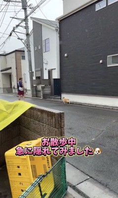 リアクションはいかに？