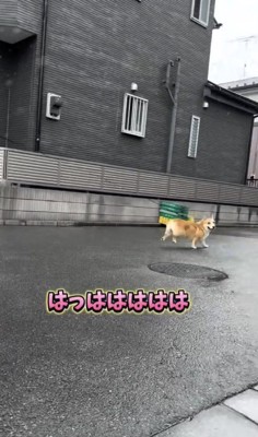 二度見した！！