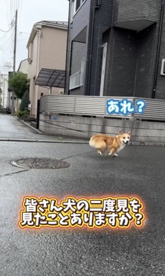 「あれは…？」