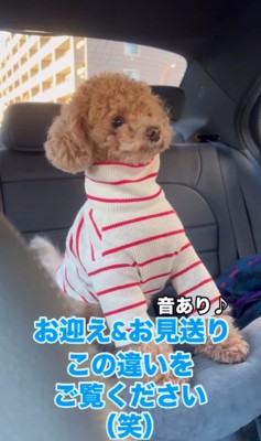ノアくんのお迎え＆お見送り