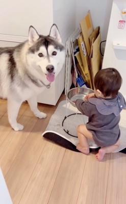 「どうしよ！」
