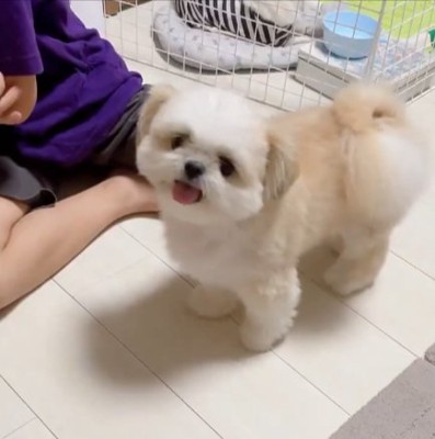みかん