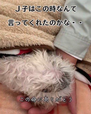 なんて言っていたのかな？