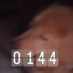 深夜1時44分→寝ていたら、大型犬が枕元へ来て…笑うしかない『衝撃の行動』が628万再生「申し訳無さそうな顔してるの草」「可愛すぎｗ」