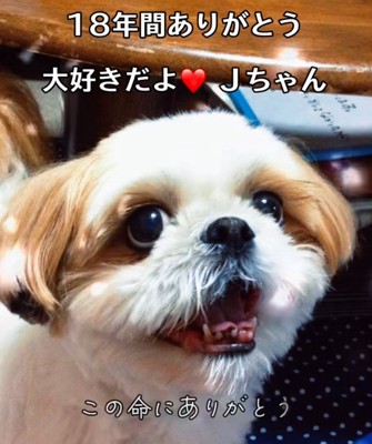 心の底から大好きだよ！