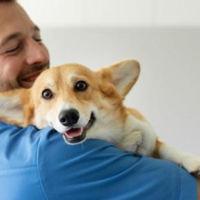 犬の正しい『抱き方』とは？愛犬を安心させるための上手な抱っこ方法までご紹介