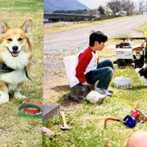 写真に写った男の子と犬→約30年後…思わず感動してしまう『現在の光景』に14万いいねの反響「下僕レベル向上してるw」「素敵」と絶賛