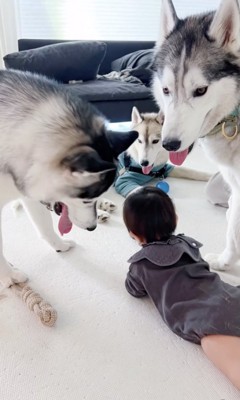 全員で見守り！