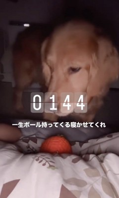 「なげて…」
