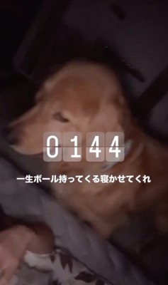 熱い視線