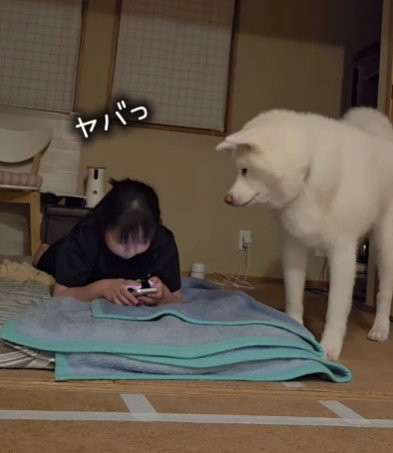 目が合っちゃった！