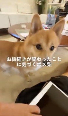 きた！！