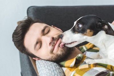 男性の顎を舐める犬