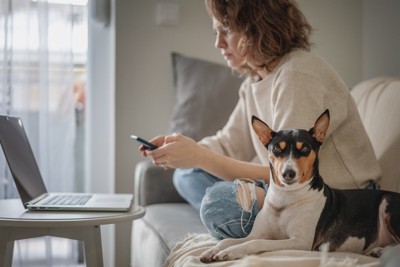 スマホを触っている女性の隣に伏せている犬