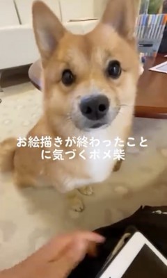可愛すぎる表情…！