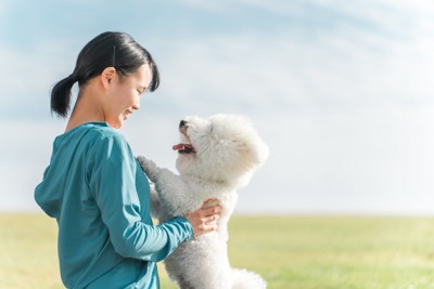 女の子に飛びつく犬