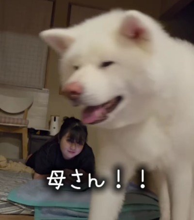 「母さん！！」