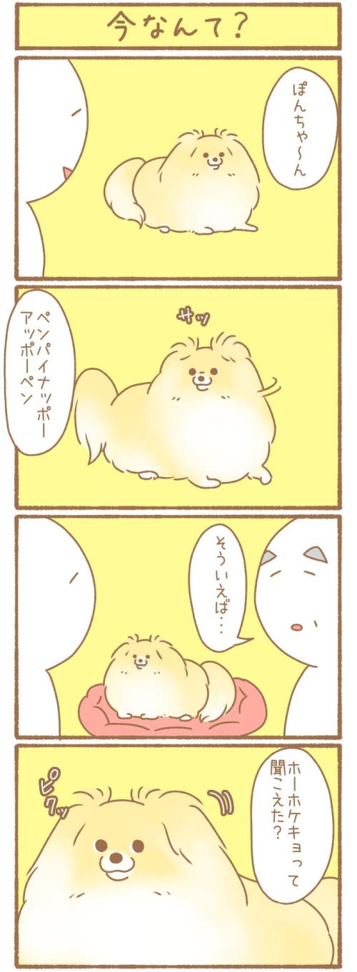 ただの犬好きです。【第323話】