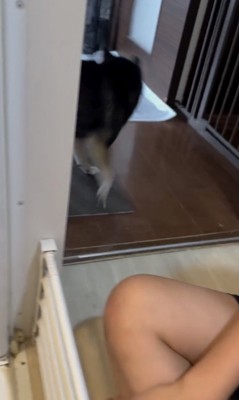 ザッ…！！