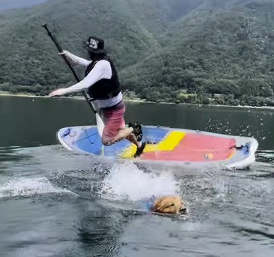 ボードから勝手に降りてしまう大型犬