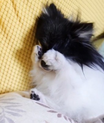 まさかの行動