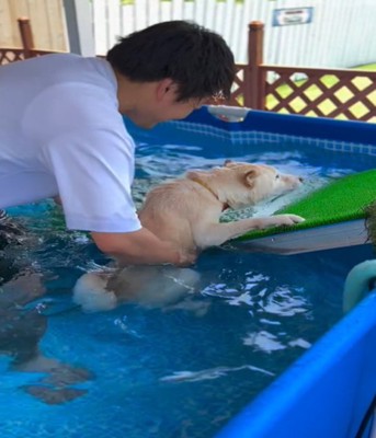 飼い主と犬