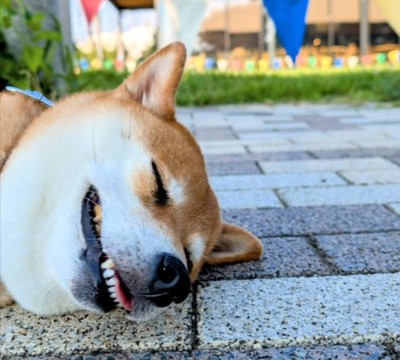 ニコニコ笑顔