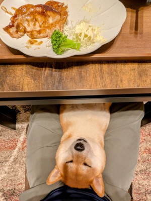 食事時