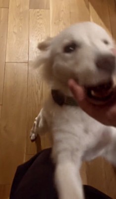 ママにどーん！！