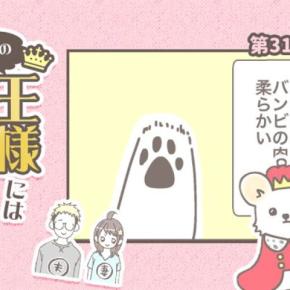 うちの王様にはどうしても抗えない【第315話】「的確な攻撃」