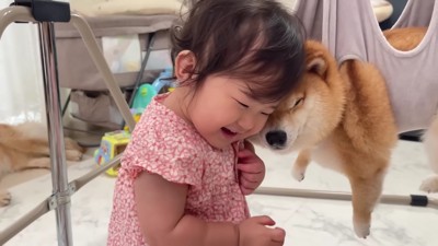 「頑張って」
