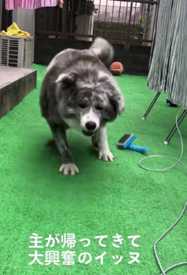 嬉しさが爆発！！