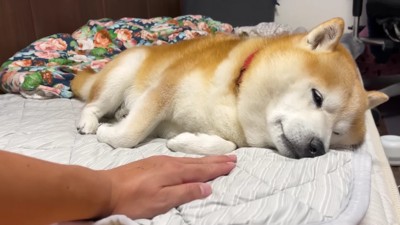 想定外の反応！？