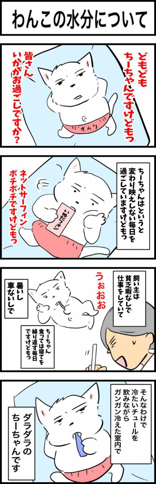ちーちゃんですけどもっ【第320話】　1