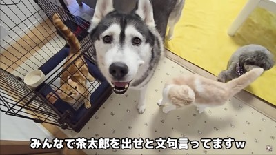 最後はみんなで猛抗議！！
