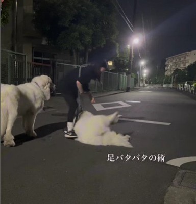 バタバタの術