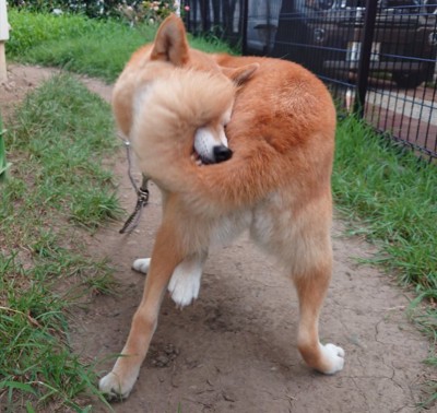 どうなってる