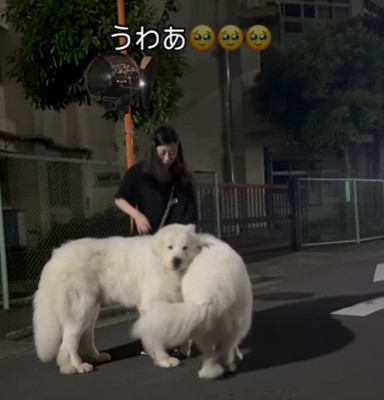 なんとか立った！！