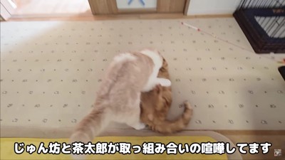 喧嘩が勃発！！