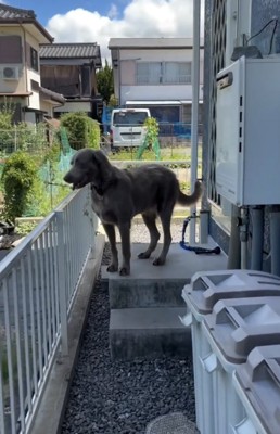 視線の先には…？