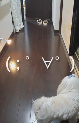 扉がゆっくりと開くと…