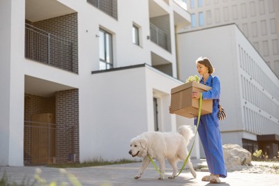 荷物持つ女性と犬