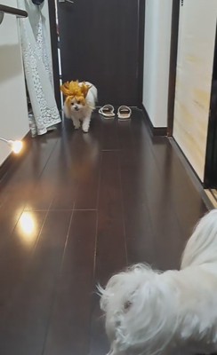 ん…？