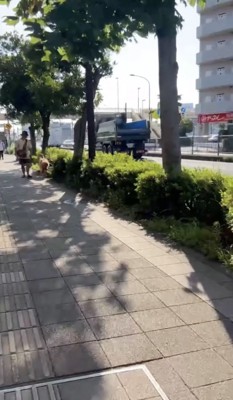 散歩満喫中〜