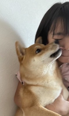 ペロリッ