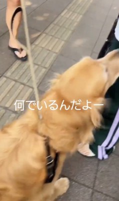 喜び全開！！