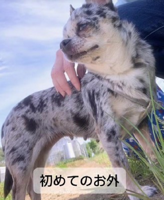 少しずつ外へ
