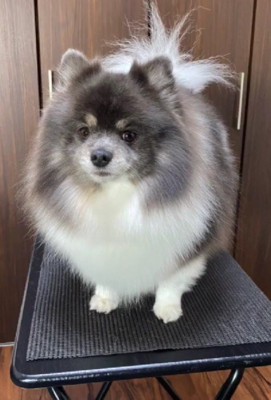 カットしたら痩せて見える？