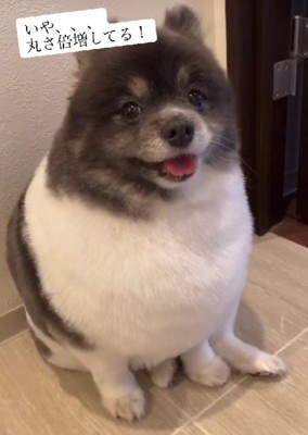 どんな姿も可愛い！！