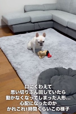 落ち込むアビーちゃん2